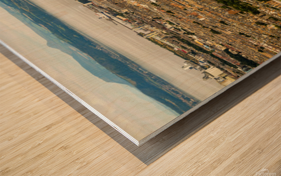 Edinburgh Unveiled: A Breathtaking View from Arthurs Seat Wood print