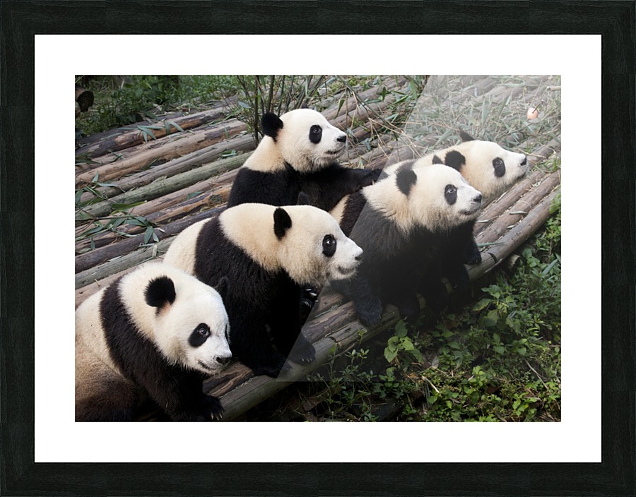 Right Up The Middle Picture Frame print
