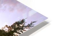 Bass Head Light HD Metal print