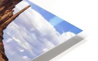 Beautiful Mitten HD Metal print