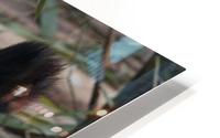 Amazing Panda HD Metal print