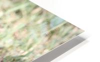 Luminescent HD Metal print