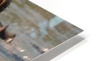 Open Wide HD Metal print