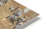 Migration HD Metal print
