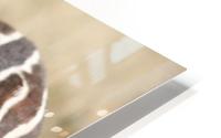Stripes HD Metal print