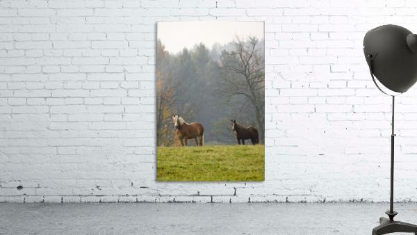 Autumn Horses Wall Preview