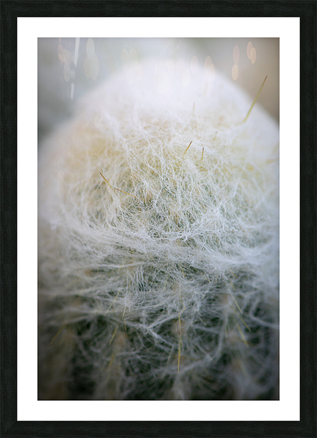 The Brood Picture Frame print