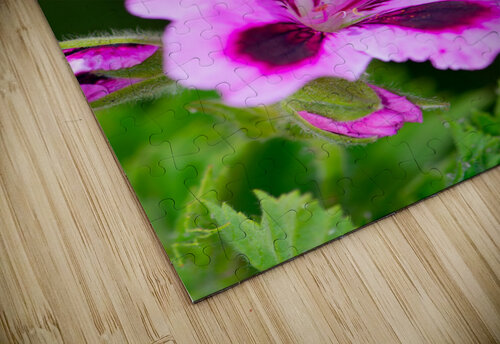 Wild Thing Carefree Carmine puzzle