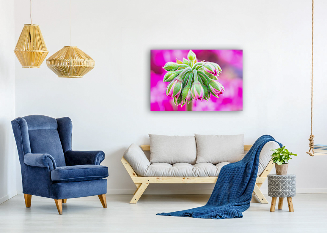 Bloom Reproduction