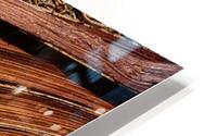 Frond HD Metal print