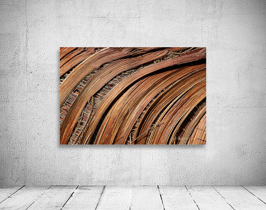 Frond Wall Preview