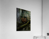 Douglas Squirrel  Acrylic Print