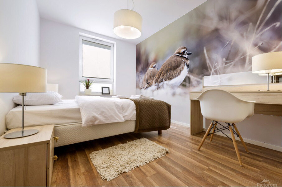 Killdeer Couple Mural print