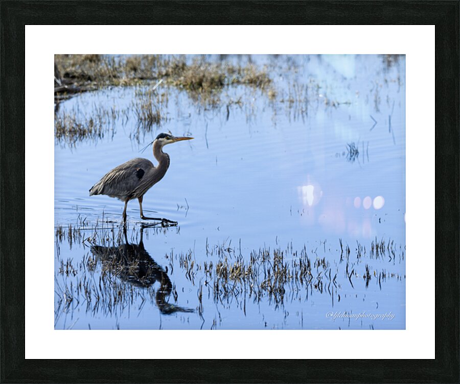 Heron Picture Frame Printing