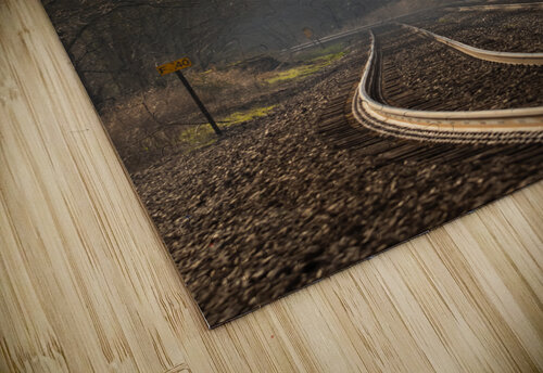 Into the Dawn ljlehmanphotography puzzle