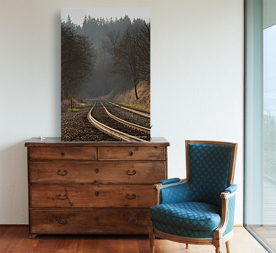 Into the Dawn Reproduction