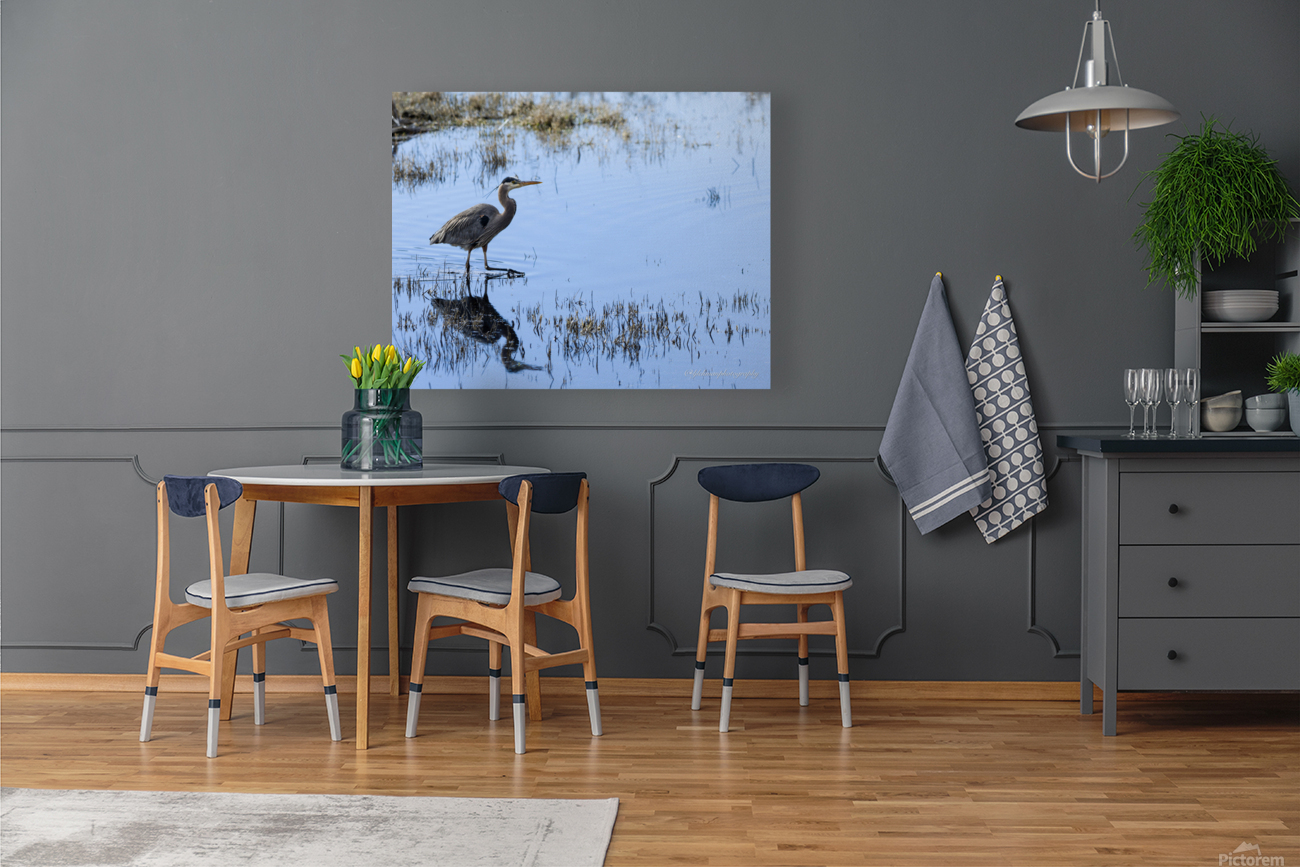 Heron Reproduction