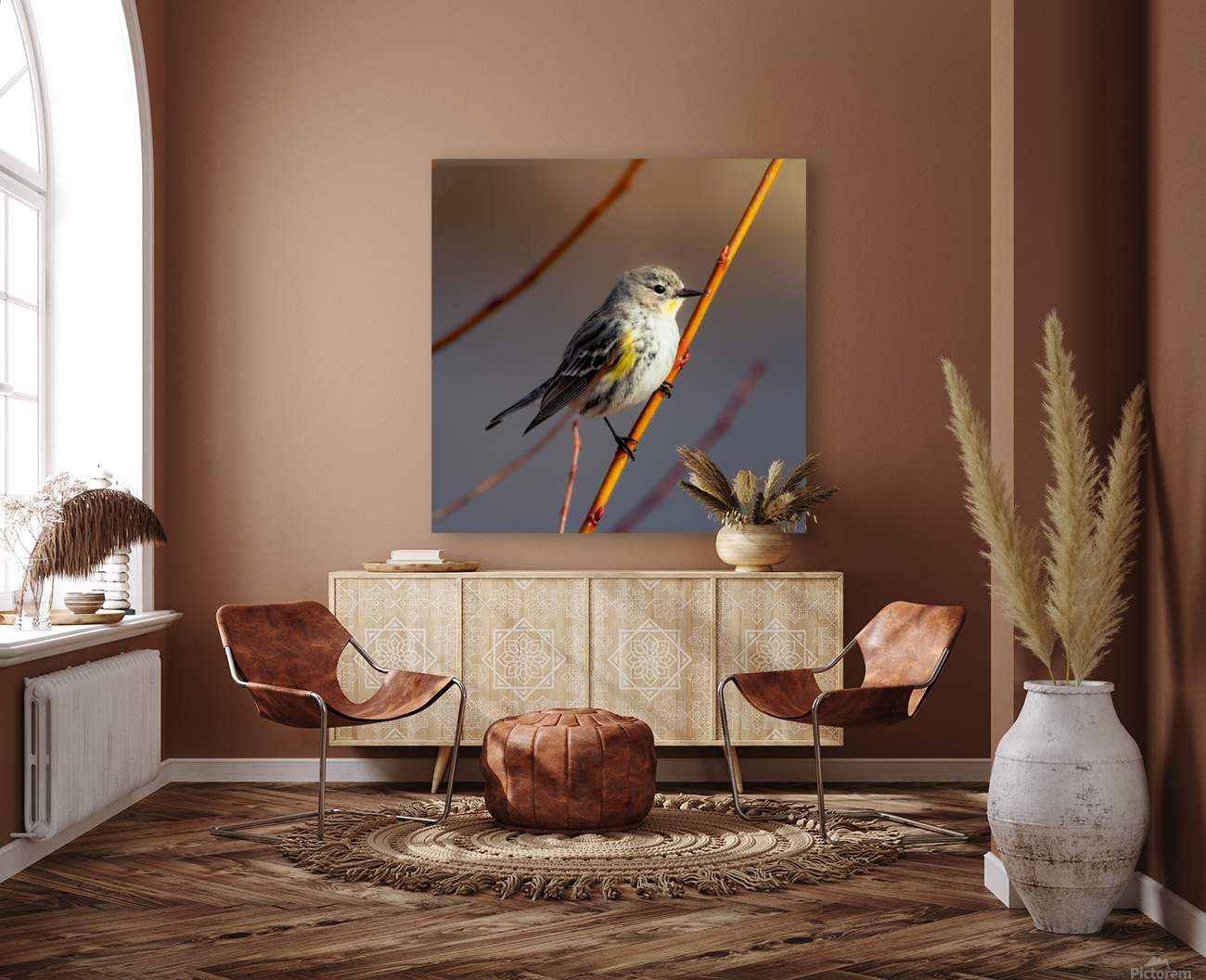 Warbler Staredown Reproduction
