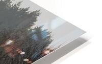 Into the Dawn HD Metal print