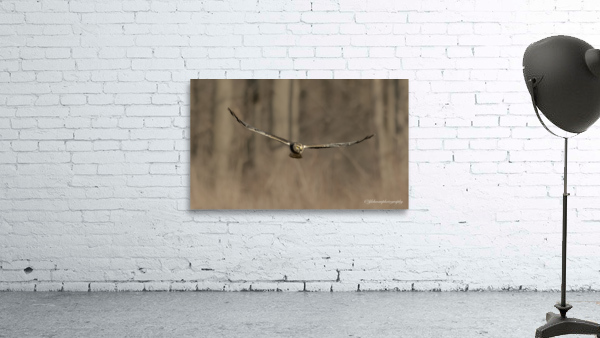 Hawk Wall Preview