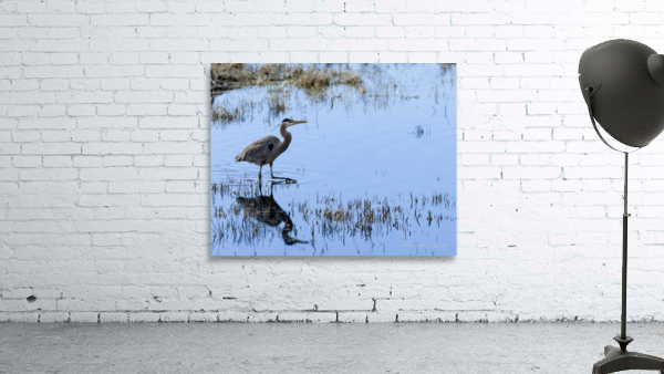 Heron Wall Preview