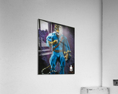 Tygra -Thundercats  Acrylic Print