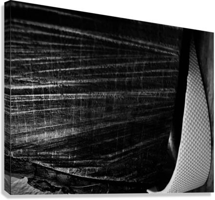 Lil_city bw Canvas Print