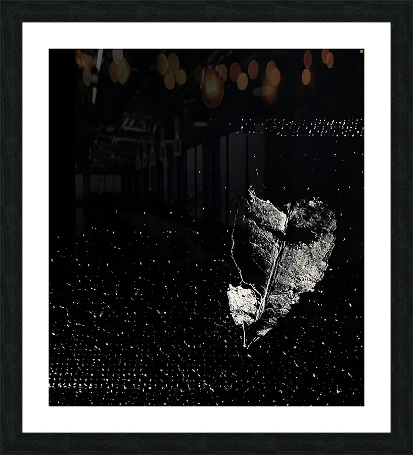5015 Picture Frame Printing