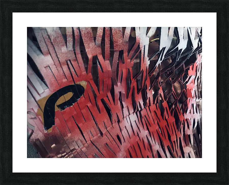 P Koi 2 Picture Frame Printing