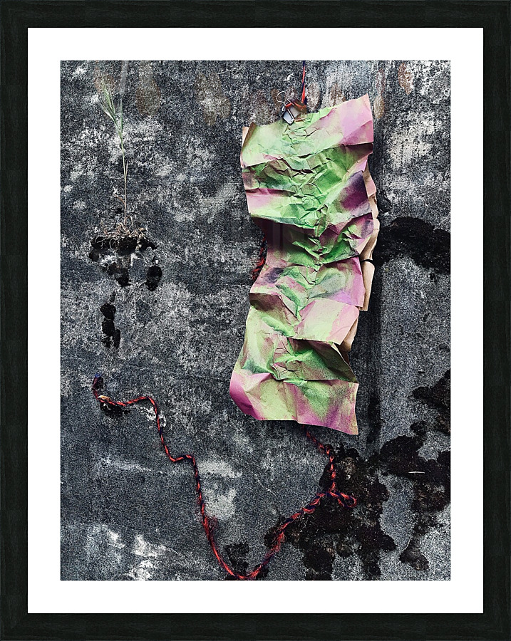 Moss Amp 7.5 Picture Frame Printing