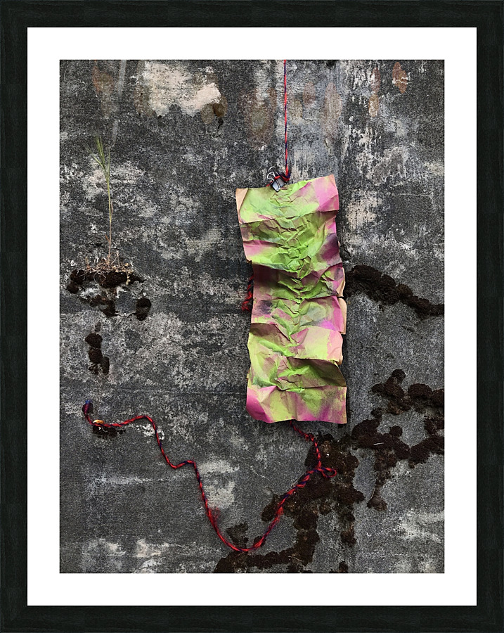 Moss Amp 2 Picture Frame Printing