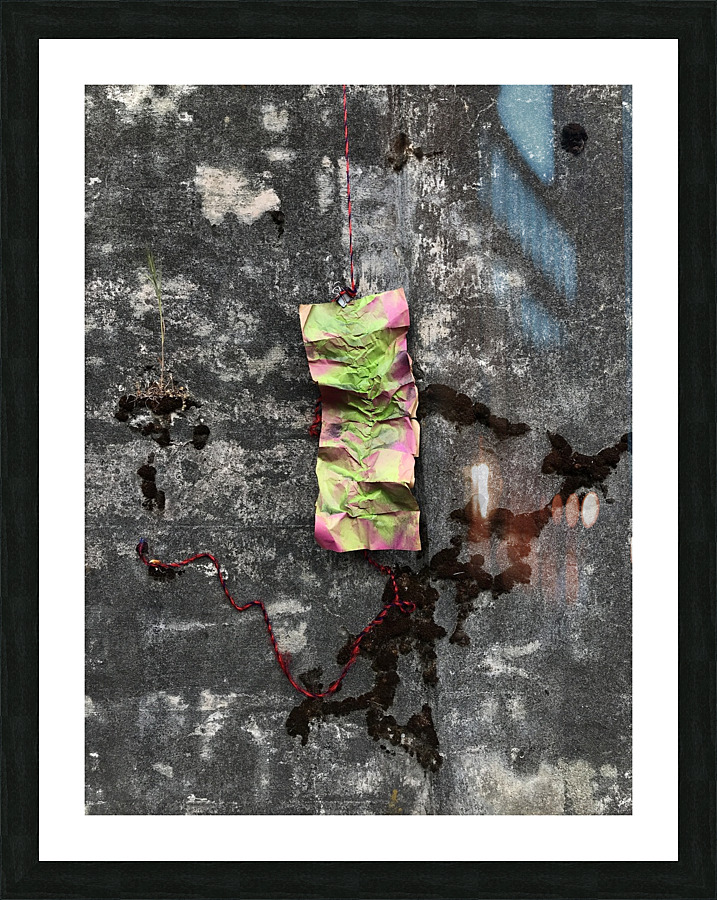 Moss Amp Vert Picture Frame Printing