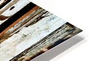 Only Way 2 Fly HD Metal print