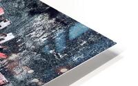 Didi Senft HD Metal print