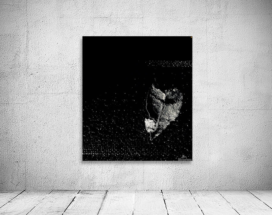 5015 Wall Preview