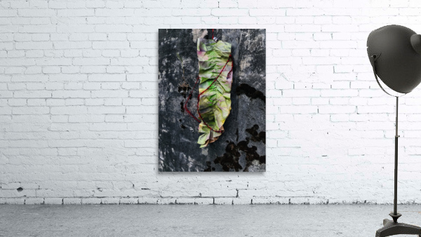 Bolt 1 Wall Preview