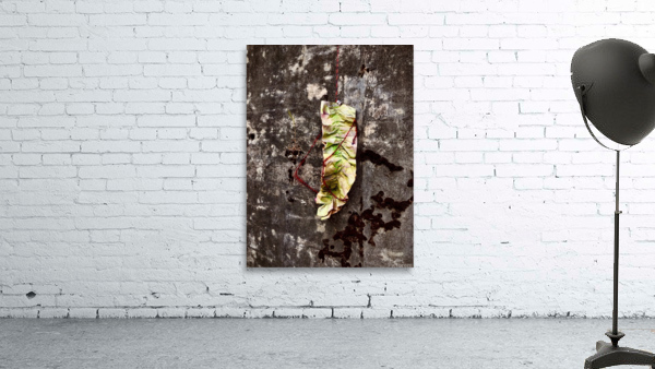Bolt 2 Wall Preview