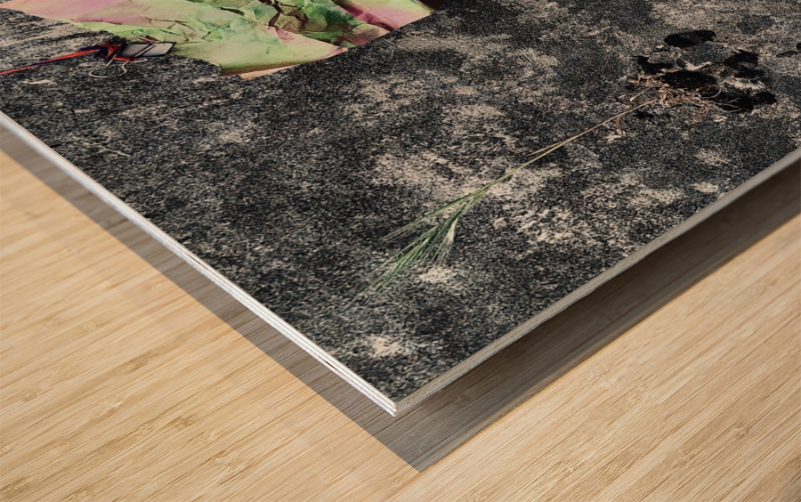 Moss Amp 7.5 Wood print