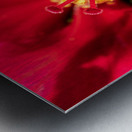 Pistil et pollen Metal print