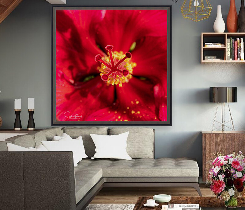 Pistil et pollen Reproduction