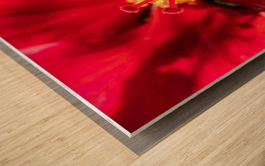 Pistil et pollen Wood print