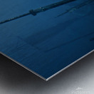 190f8c19852e4584b8a6a4c8fc69c755 Metal print