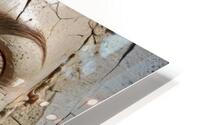 de Katy HD Metal print