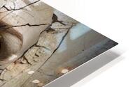 de Elizabeth HD Metal print