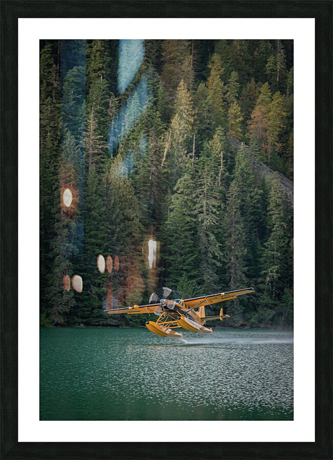 WildCoastBritishColumbia 9 Picture Frame print