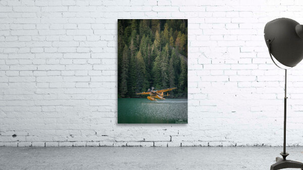 WildCoastBritishColumbia 9 Wall Preview