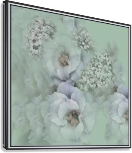 Translucide Canvas Print