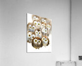 Watercolor owlets Acrylic Print