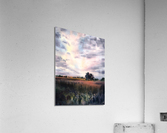 Field and clouds 2 Acrylic Print