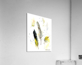 Parrot feathers Acrylic Print